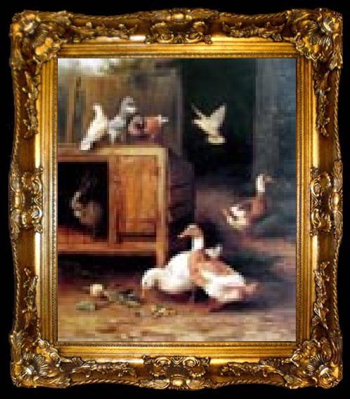 framed  unknow artist Duck and Pigeon, ta009-2